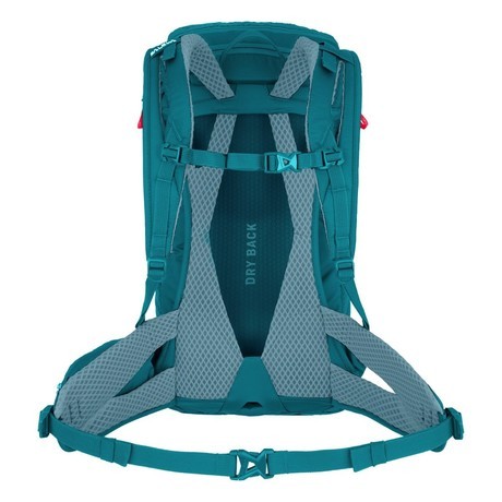 SALEWA Nahrbtnik ALP TRAINER 20L