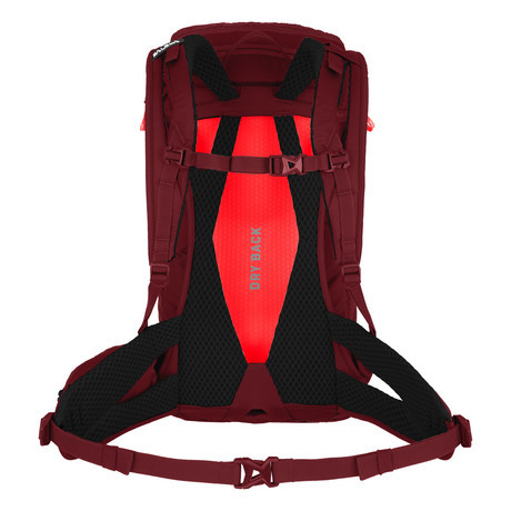 SALEWA Nahrbtnik ALP TRAINER 20L